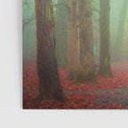 Autumn Wanderlust Poster Gallery Image 3