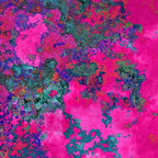 Fuchsia Dream Coffee Mug Gallery Image 2