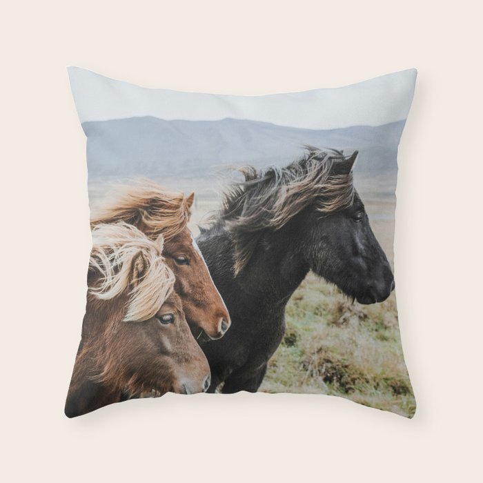 Thingeyrar, Iceland Throw Pillow Gallery Image 6