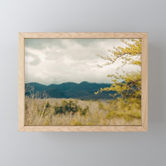 Early Spring in the Mountains north carolina blue ridge landscape photograph Mini Art Print Gallery Image 1