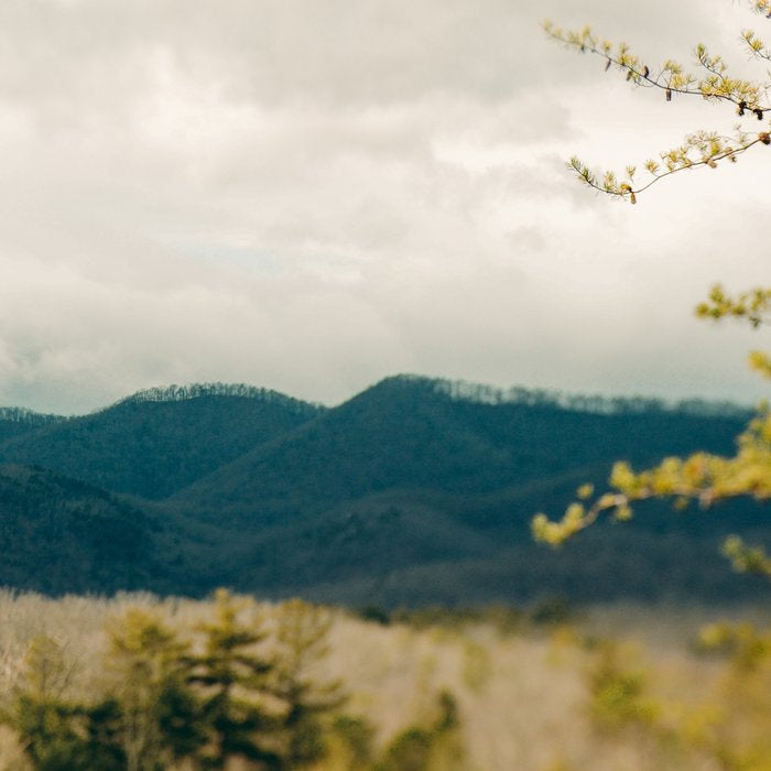 Early Spring in the Mountains north carolina blue ridge landscape photograph Coffee Mug Gallery Image 2
