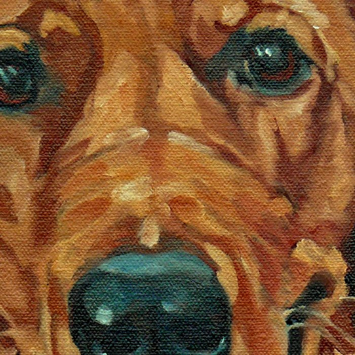 Coper the Golden Retriever Dog Portrait Coffee Mug Gallery Image 2