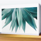 Agave fringe Wall Mural Gallery Image 2