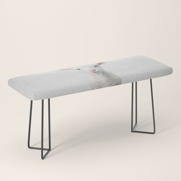 Lamb - Colorful Bench Gallery Image 1
