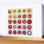 Floral Palette / Beige Background Wall Mural Gallery Image 2