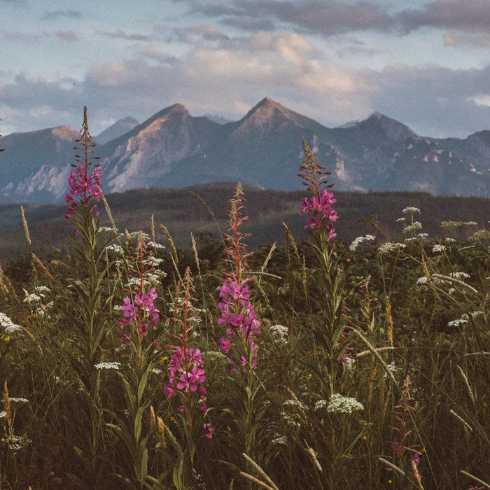 Mountain vibes - Landscape and Nature Photography Coffee Mug Gallery Image 2