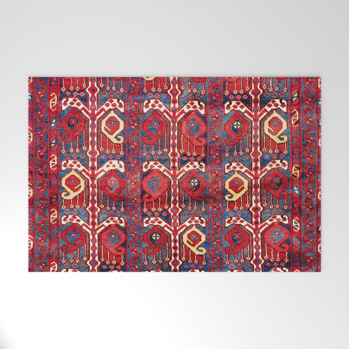 Beshir Central Asia Amu Darya Rug Welcome Mat Gallery Image 1