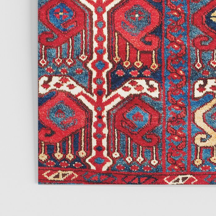 Beshir Central Asia Amu Darya Rug Poster Gallery Image 3