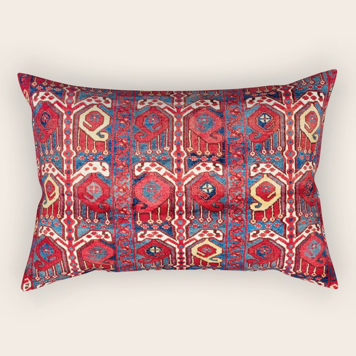 Beshir Central Asia Amu Darya Rug Rectangular Pillow Gallery Image 1