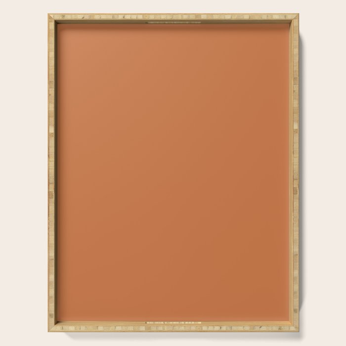 Solid Terracotta Serving Tray Gallery Image 1