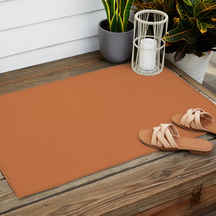 Solid Terracotta Outdoor Rug Gallery Image 2