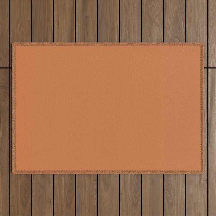 Solid Terracotta Outdoor Rug Gallery Image 1