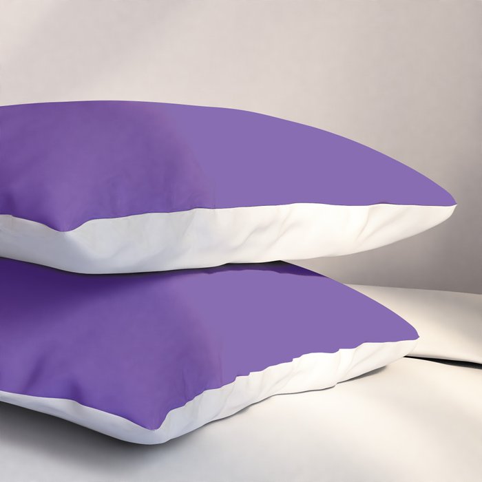 Northwestern Color Pillow Sham Gallery Image 3