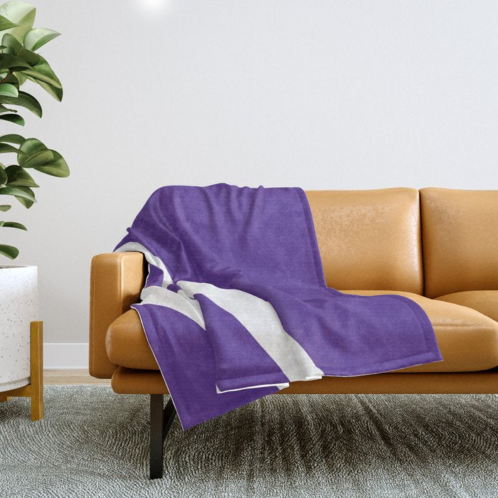 Northwestern Color Throw Blanket Gallery Image 1
