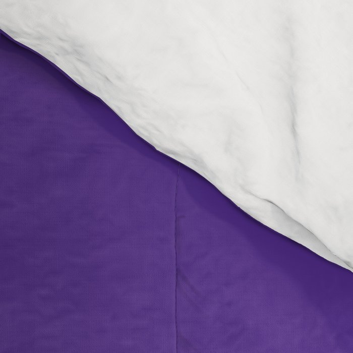 Northwestern Color Comforter Gallery Image 4