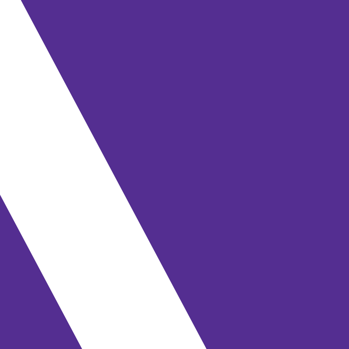 Northwestern Color Coffee Mug Gallery Image 2