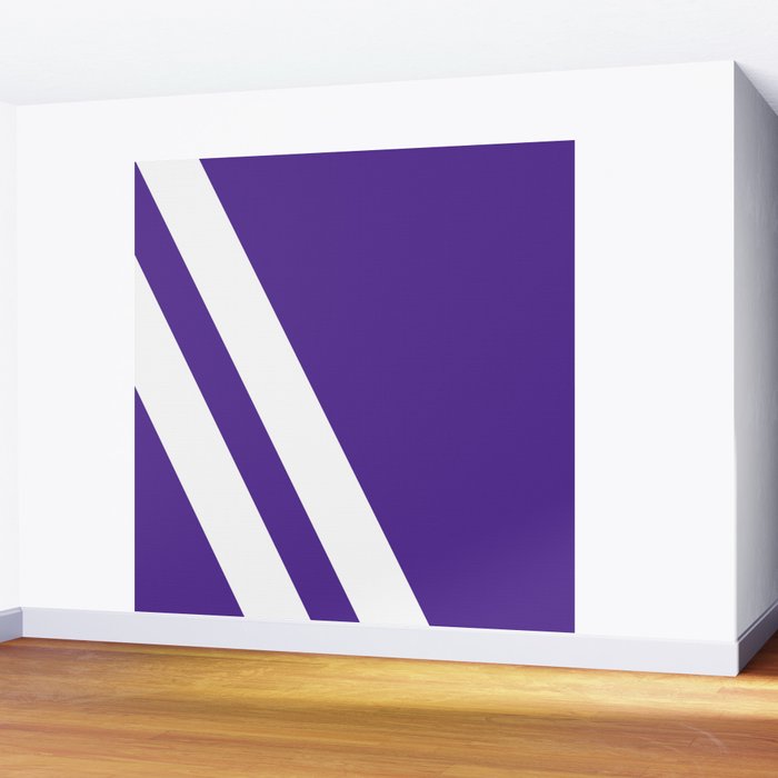 Northwestern Color Wall Mural Gallery Image 2