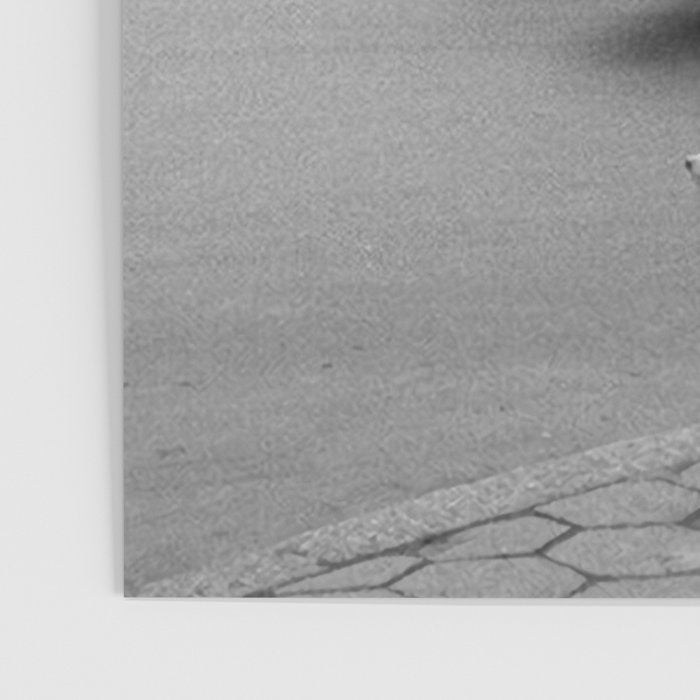 Young woman with pet dog hailing a yellow cab taxi New York City portrait black and white photograph - photography - photographs Poster Gallery Image 3
