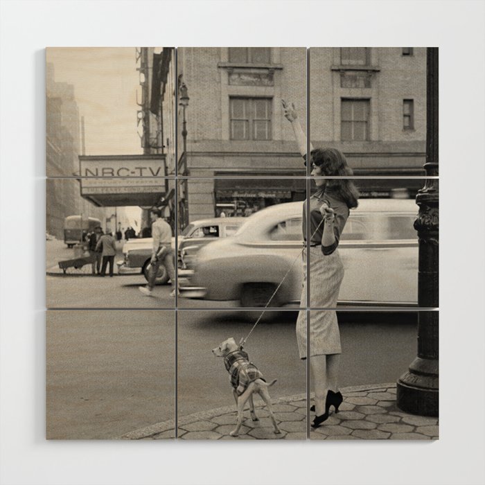 Young woman with pet dog hailing a yellow cab taxi New York City portrait black and white photograph - photography - photographs Wood Wall Art Gallery Image 1