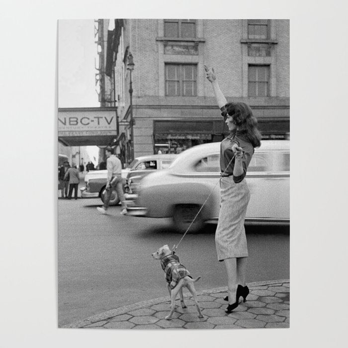 Young woman with pet dog hailing a yellow cab taxi New York City portrait black and white photograph - photography - photographs Poster Gallery Image 4