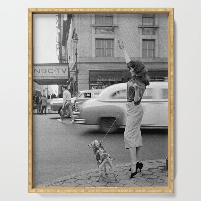 Young woman with pet dog hailing a yellow cab taxi New York City portrait black and white photograph - photography - photographs Serving Tray Gallery Image 1