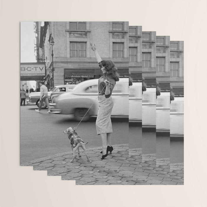 Young woman with pet dog hailing a yellow cab taxi New York City portrait black and white photograph - photography - photographs Wrapping Paper Gallery Image 3