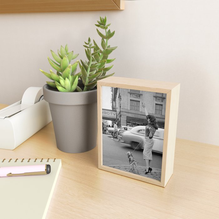 Young woman with pet dog hailing a yellow cab taxi New York City portrait black and white photograph - photography - photographs Mini Art Print Gallery Image 2