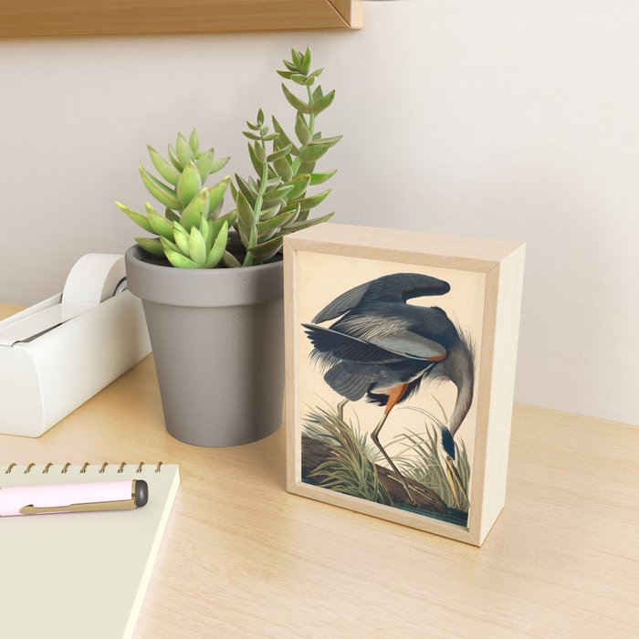 Great Blue Heron by John James Audubon (1834) Mini Art Print Gallery Image 2