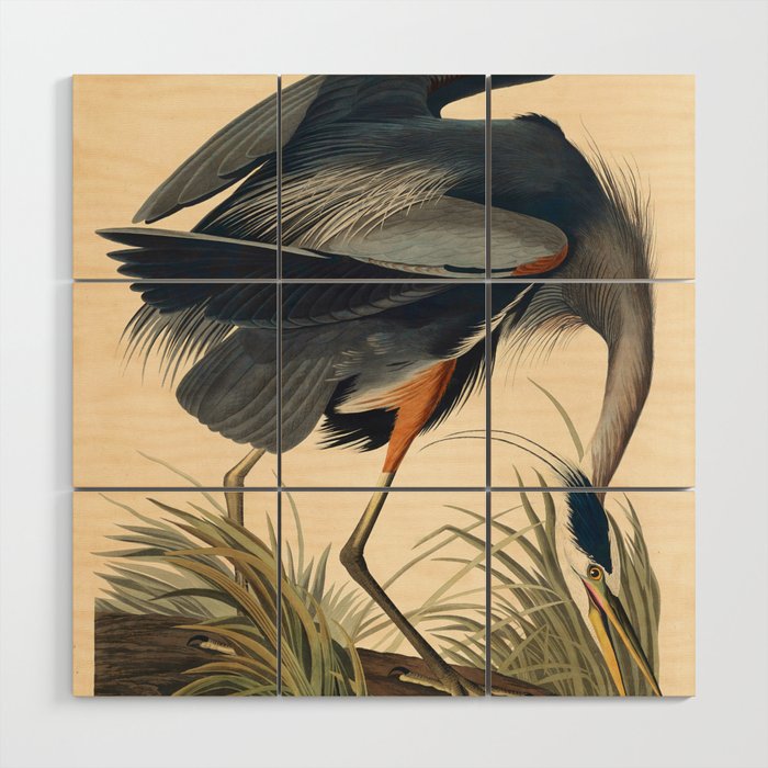 Great Blue Heron by John James Audubon (1834) Wood Wall Art Gallery Image 1