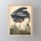 Great Blue Heron by John James Audubon (1834) Mini Art Print Gallery Image 1