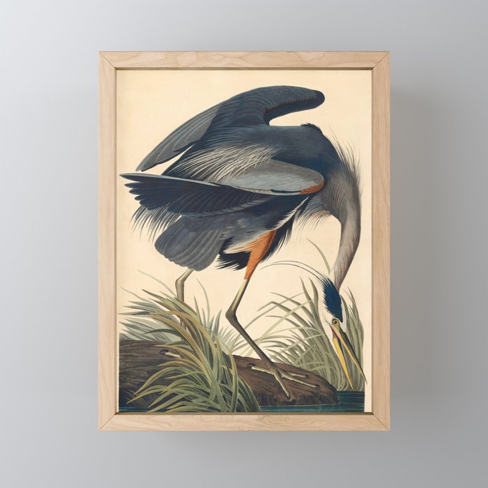 Great Blue Heron by John James Audubon (1834) Mini Art Print Gallery Image 1