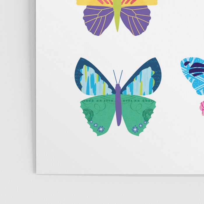 Colorful Butterflies  Poster Gallery Image 3