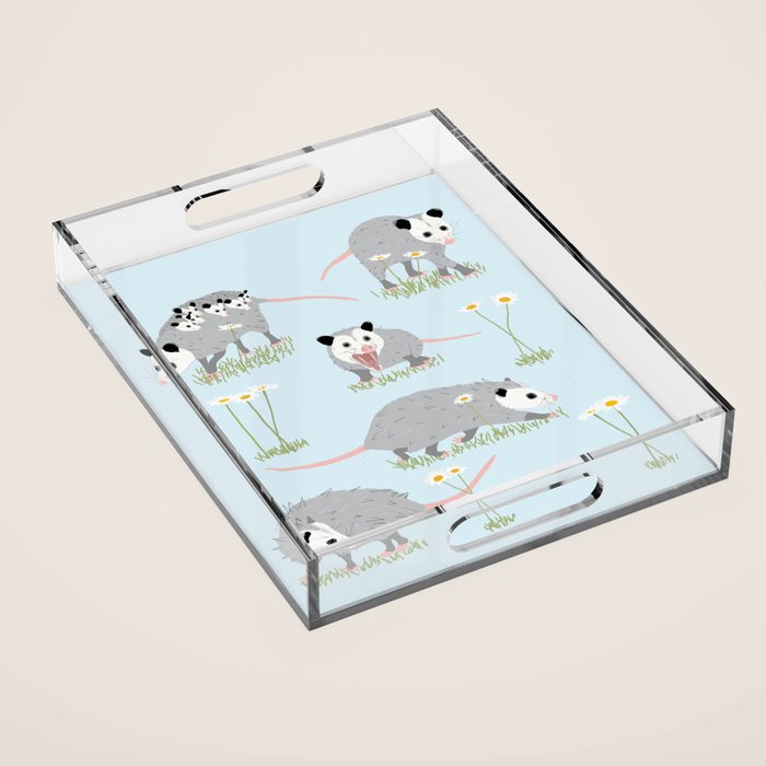 Opossums and Daisies Acrylic Tray Gallery Image 1