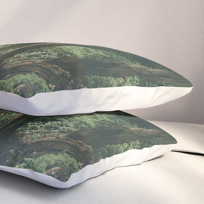 To The Falls Pillow Sham Gallery Image 3