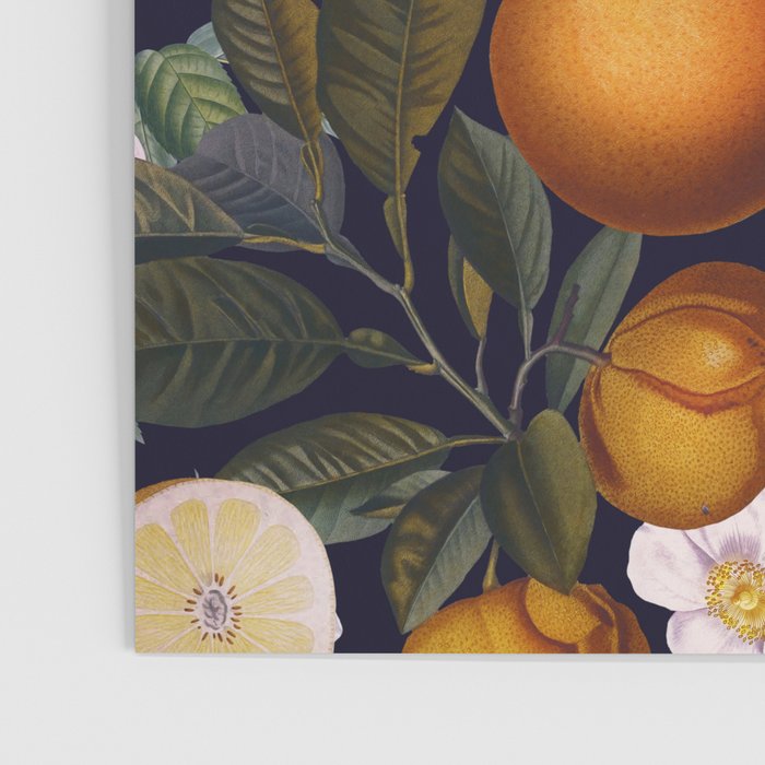 Juicy Lemons - Night Poster Gallery Image 3