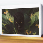 Hello Panther! Wall Mural Gallery Image 2