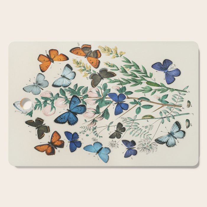 Vintage Scientific Illustration Butterfly Botanical Floral Lithograph Encyclopaedia Diagrams  Cutting Board Gallery Image 1