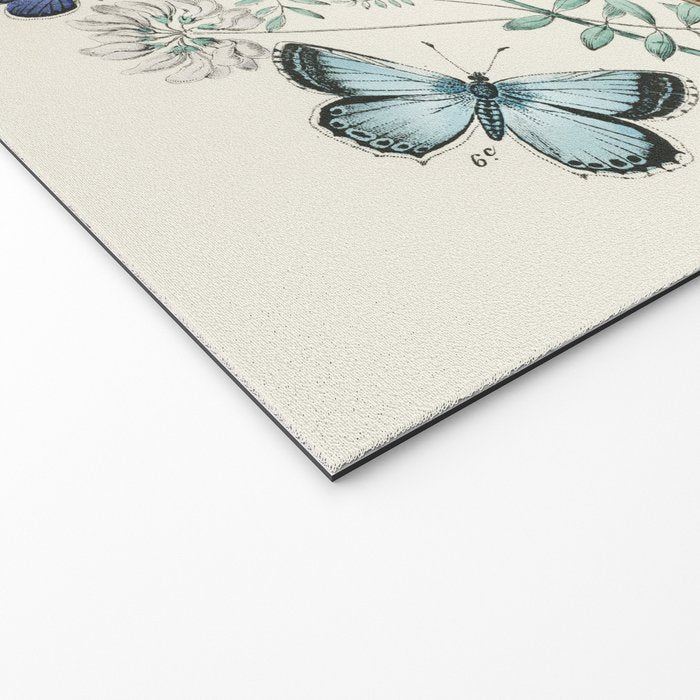 Vintage Scientific Illustration Butterfly Botanical Floral Lithograph Encyclopaedia Diagrams  Welcome Mat Gallery Image 2