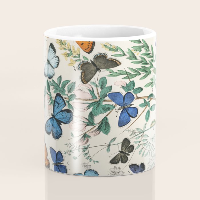 Vintage Scientific Illustration Butterfly Botanical Floral Lithograph Encyclopaedia Diagrams  Coffee Mug Gallery Image 4