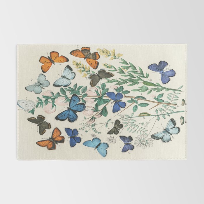 Vintage Scientific Illustration Butterfly Botanical Floral Lithograph Encyclopaedia Diagrams  Rug Gallery Image 2