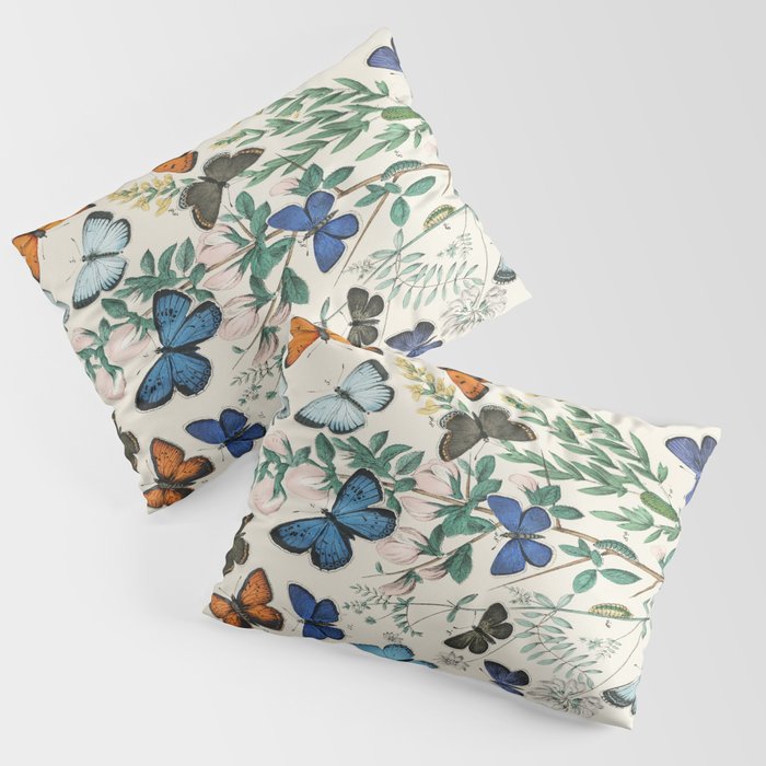 Vintage Scientific Illustration Butterfly Botanical Floral Lithograph Encyclopaedia Diagrams  Pillow Sham Gallery Image 3