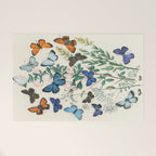 Vintage Scientific Illustration Butterfly Botanical Floral Lithograph Encyclopaedia Diagrams  Welcome Mat Gallery Image 1