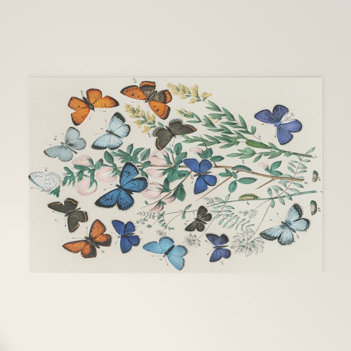 Vintage Scientific Illustration Butterfly Botanical Floral Lithograph Encyclopaedia Diagrams  Welcome Mat Gallery Image 1