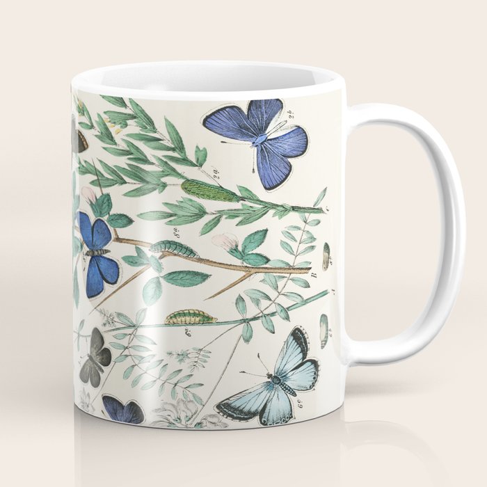 Vintage Scientific Illustration Butterfly Botanical Floral Lithograph Encyclopaedia Diagrams  Coffee Mug Gallery Image 1