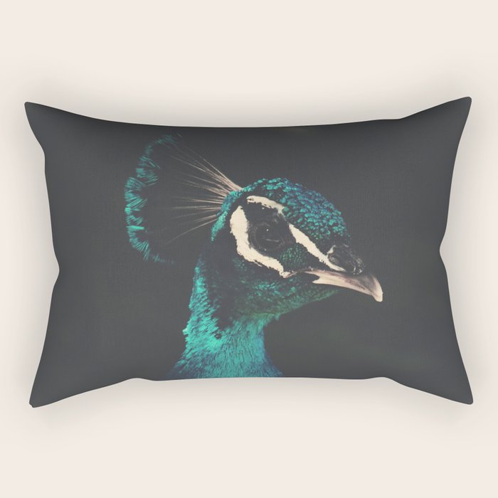 Peacock and Proud - Beautiful Bird photography by Ingrid Beddoes Rectangular Pillow Gallery Image 2