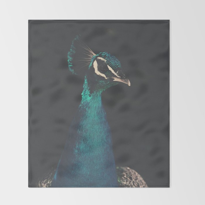 Peacock and Proud - Beautiful Bird photography by Ingrid Beddoes Throw Blanket Gallery Image 2
