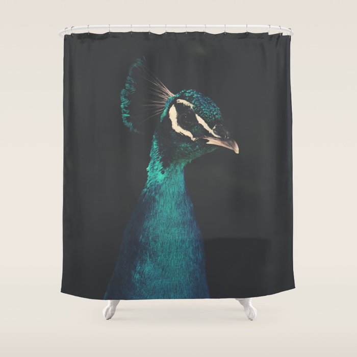 Peacock and Proud - Beautiful Bird photography by Ingrid Beddoes Shower Curtain Gallery Image 1