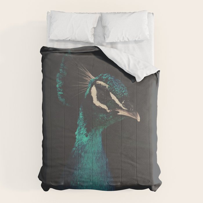 Peacock and Proud - Beautiful Bird photography by Ingrid Beddoes Comforter Gallery Image 6