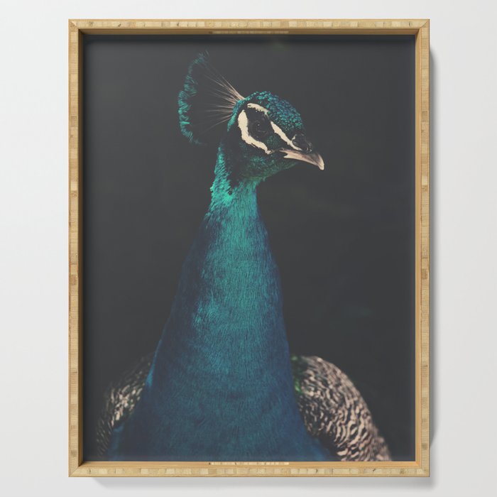 Peacock and Proud - Beautiful Bird photography by Ingrid Beddoes Serving Tray Gallery Image 1