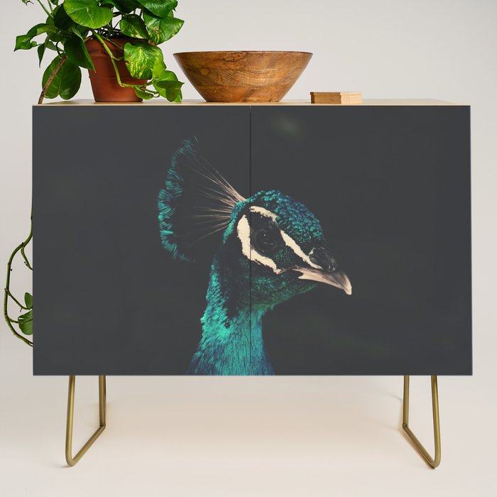 Peacock and Proud - Beautiful Bird photography by Ingrid Beddoes Credenza Gallery Image 1